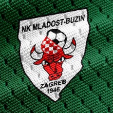 Izjava o povlačenju podršku kandidatu za predsjednika ZNS-a